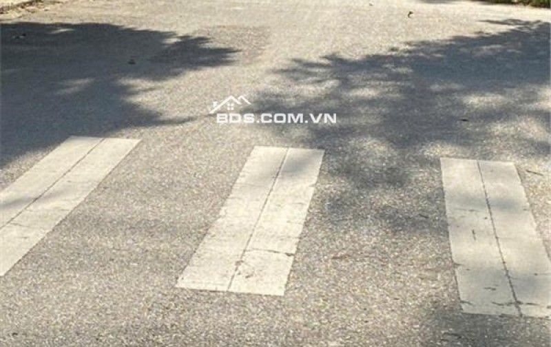 Bán đất thổ cư Đà Sơn 6, Liên Chiểu, Đà Nẵng. DT 95m2, giá 3.8 tỷ, sổ đỏ, hướng Đông Nam. LH: 0877661879