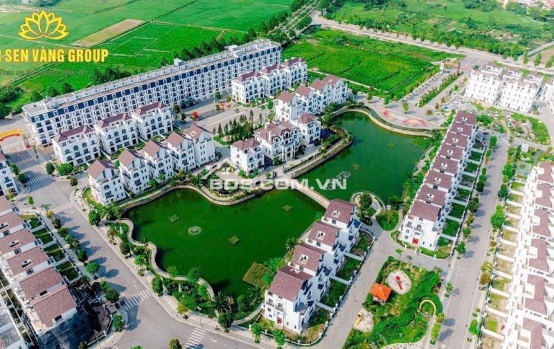 MẠNH ĐỨC VICTORY - 