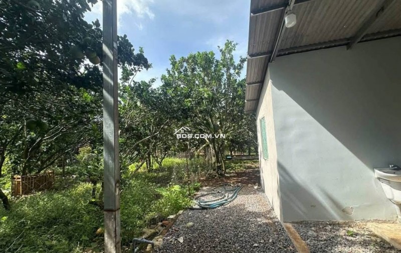 Ngay ngã tư Chơn Thành, Bình Phước (cũ)