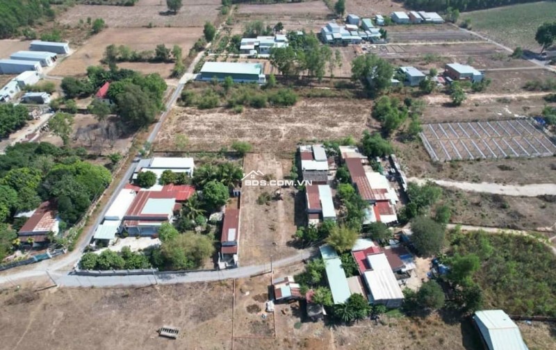 Đất đẹp chính chủ cần bán gấp tại Nhơn Trạch