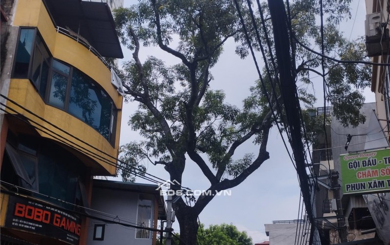 SỐC! Đất MẶT PHỐ CỔ NHUẾ - cực phẩm KINH DOANH - CHỈ 220 TRIỆU/M² 