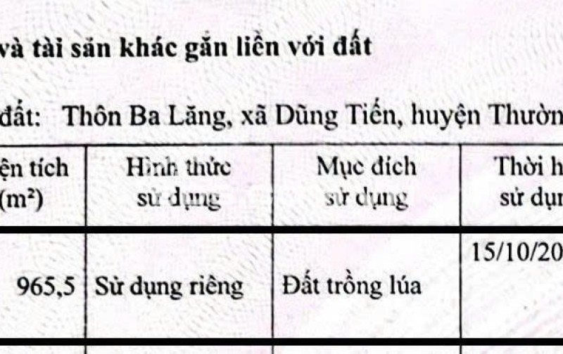 Gia đình bán gần 3 sào đất nông nghiệp (965,5 m2) tại Dũng Tiến, Thường Tín, Hà Nội
