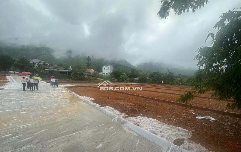 Bán 100m đất thanh thủy trục hcm gần vườn vua giá f0