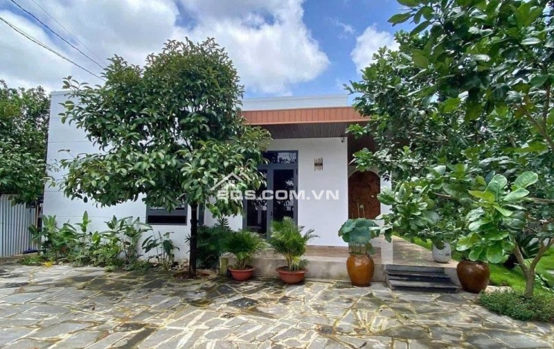 Chủ  cờ bạc cần bán nhanh căn nhà vườn sầu riêng giá 210tr