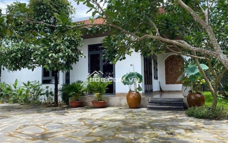 Chủ  cờ bạc cần bán nhanh căn nhà vườn sầu riêng giá 210tr