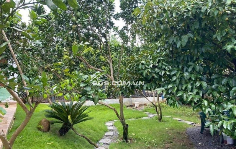 Chủ  cờ bạc cần bán nhanh căn nhà vườn sầu riêng giá 210tr