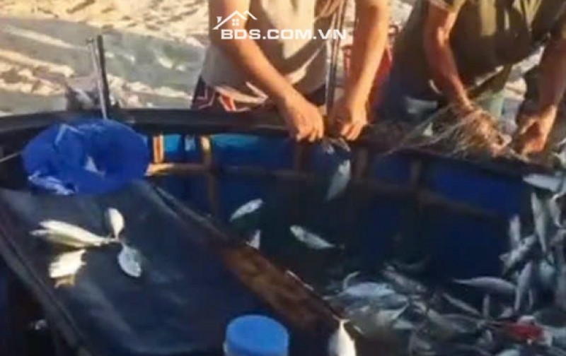 Trung Tâm Tư Vấn Đầu Tư BĐS Khu Vực Vùng Đông Quảng Nam