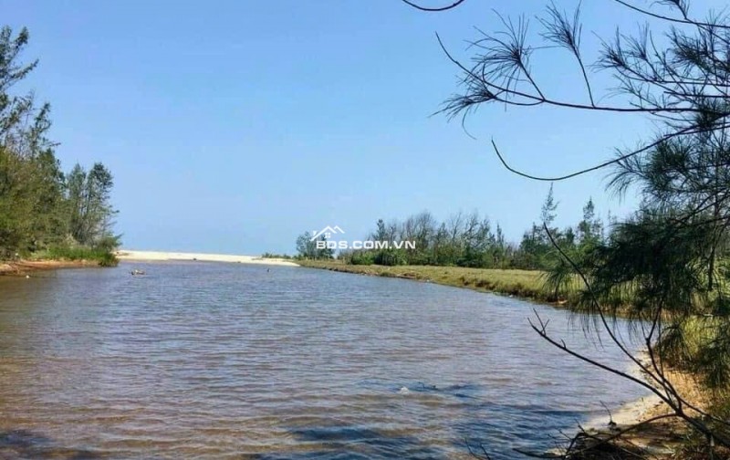 Trung Tâm Tư Vấn Đầu Tư BĐS Khu Viwcj Vùng Đông Quảng Nam