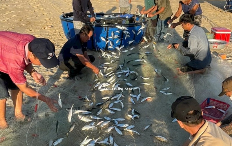 Trung Tâm Tư vấn Đầu Tư BĐS Khu Vực Vùng Đông Quảng Nam