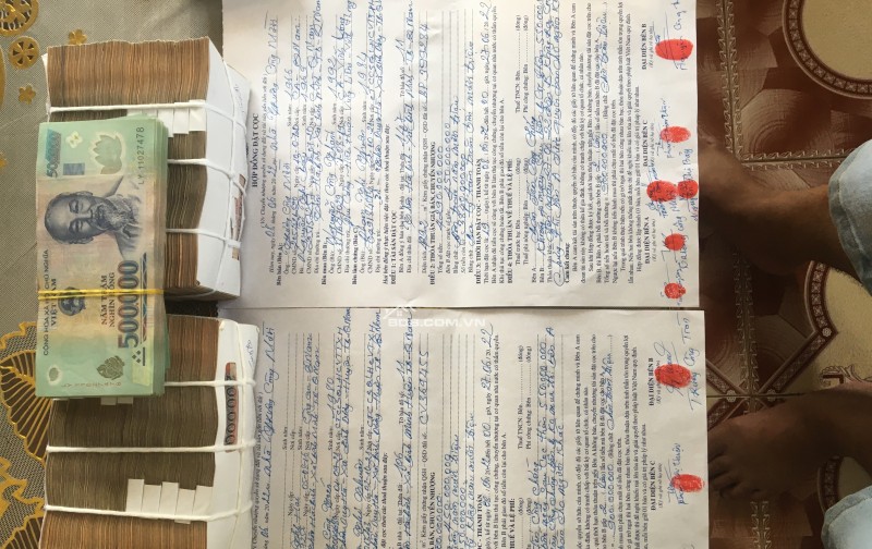 Trung Tâm Tư Vấn Đầu Tư BĐS Khu Viwcj Vùng Đông Quảng Nam