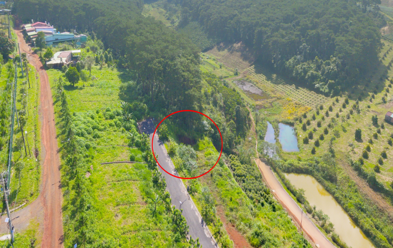 Lô Đất View Rừng Thông 18ha Và Hồ Suối Tự Nhiên - P2 Bảo Lộc