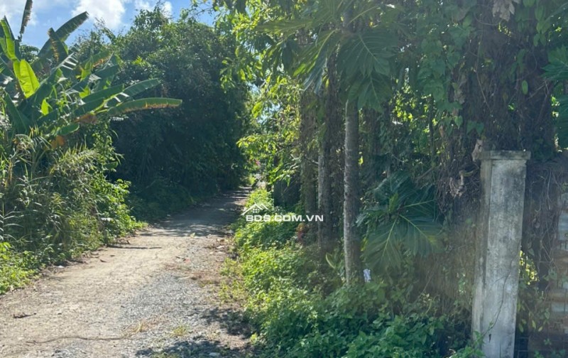 Chính Chủ Cần Bán Gần 1 Công Đất Tại Khu Dân Cư Văn Thắng (Tram y tế TPĐ), Phuờng Sa Đéc, Tỉnh Đồng Tháp.