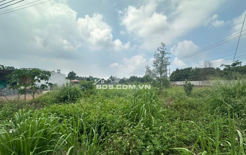 BÁN ĐẤT MẶT TIỀN NGUYỄN THẾ TOÀN – GIÁ TỐT, SỔ RIÊNG