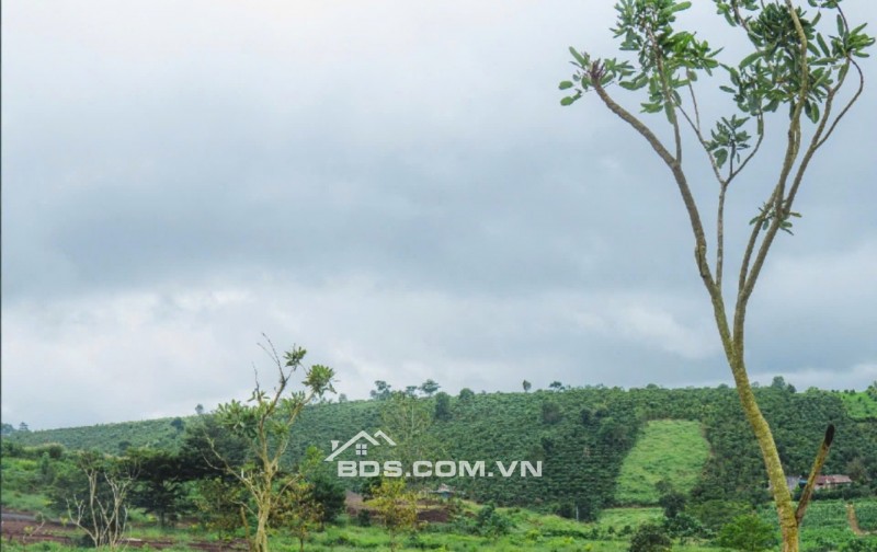  LÔ ĐẤT 102M² FULL THỔ CƯ – KHU TRUNG TÂM BẢO LỘC