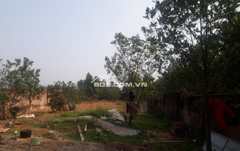 CHÍNH CHỦ CHO THUÊ ĐẤT TRỐNG 600M2 LÀM KHO BÃI XƯỞNG HAY CHĂN NUÔI CHÚC SƠN CHƯƠNG MỸ GIÁ 4TR/TH