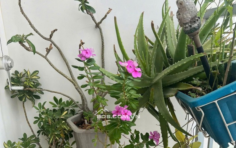 C/c Screc, Q3, Trường Sa, 78m2, 2PN, Tolet, Nội thất đủ, 13tr/th.