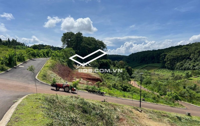 Lô Đất View Rừng Thông 18ha Và Hồ Suối Tự Nhiên - P2 Bảo Lộc