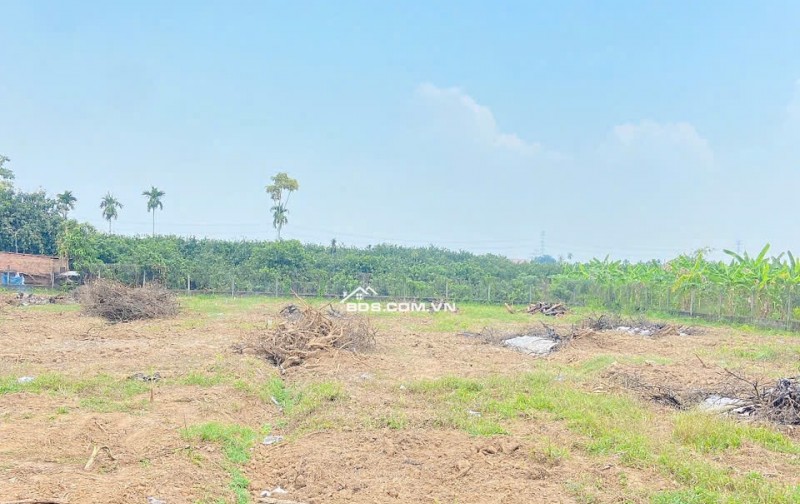 1TY150 – 2 LÔ LIỀN KỀ 8×20 ĐẤT NỀN BIÊN HÒA FULL THỔ, SHR, ĐƯỜNG Ô TÔ