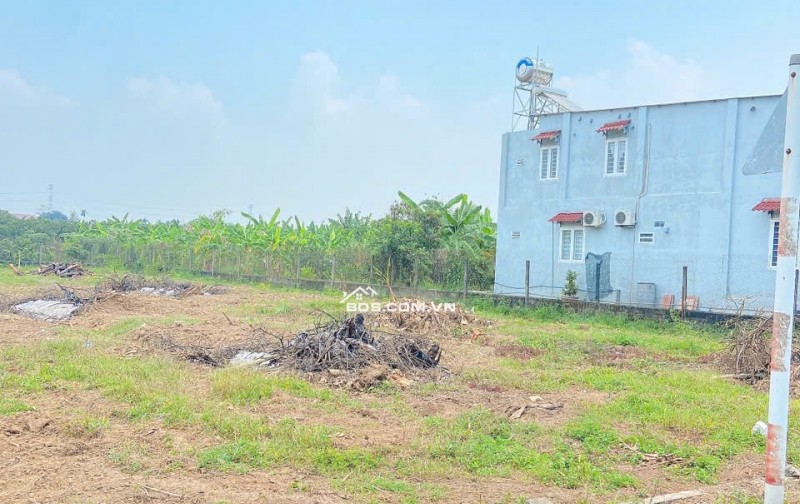 1TY150 – 2 LÔ LIỀN KỀ 8×20 ĐẤT NỀN BIÊN HÒA FULL THỔ, SHR, ĐƯỜNG Ô TÔ