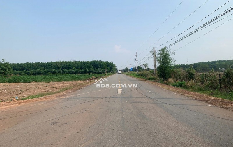 Cần bán gấp lô đất đường ĐH 614 ngay KCN Bàu Bàng