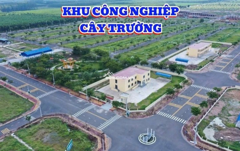 Cần bán gấp lô đất đường ĐH 614 ngay KCN Bàu Bàng
