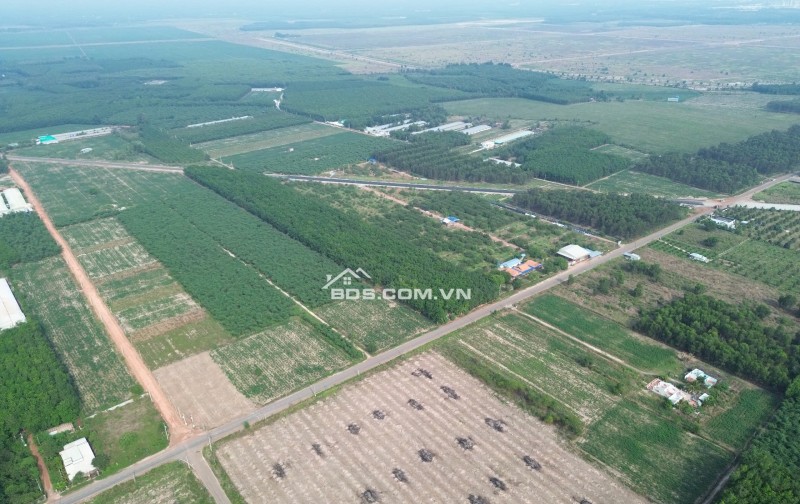 Cần bán gấp lô đất đường ĐH 614 ngay KCN Bàu Bàng