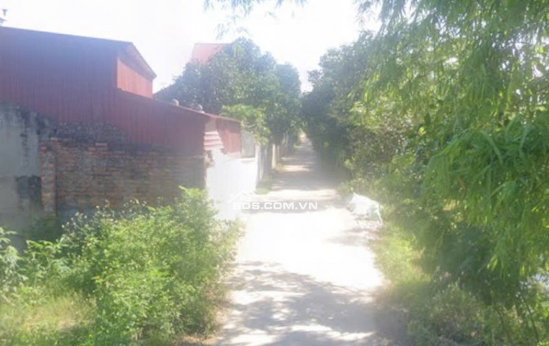 Bán đất phân lô tại Đồng Muối Tân Phúc Ân Thi Hưng Yên vị trí đắc địa nằm gần nút ra Ân Thi cao tốc Hà Nội - Hải Phòng