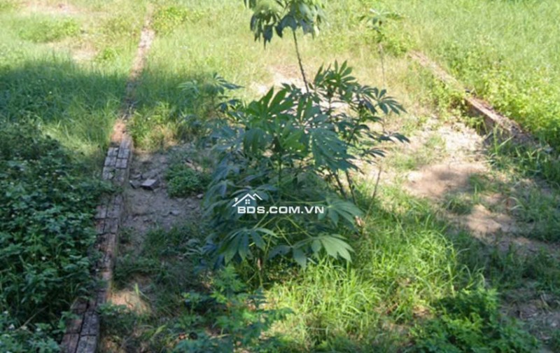 Bán đất phân lô tại Đồng Muối Tân Phúc Ân Thi Hưng Yên vị trí đắc địa nằm gần nút ra Ân Thi cao tốc Hà Nội - Hải Phòng