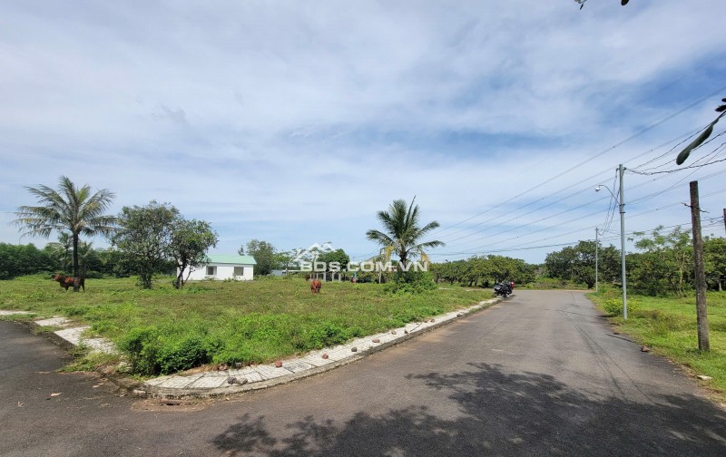 Bán lô đất gần KCN Dầu Giây,kế đường lên SBQT Long Thành,sổ 100% thổ cư