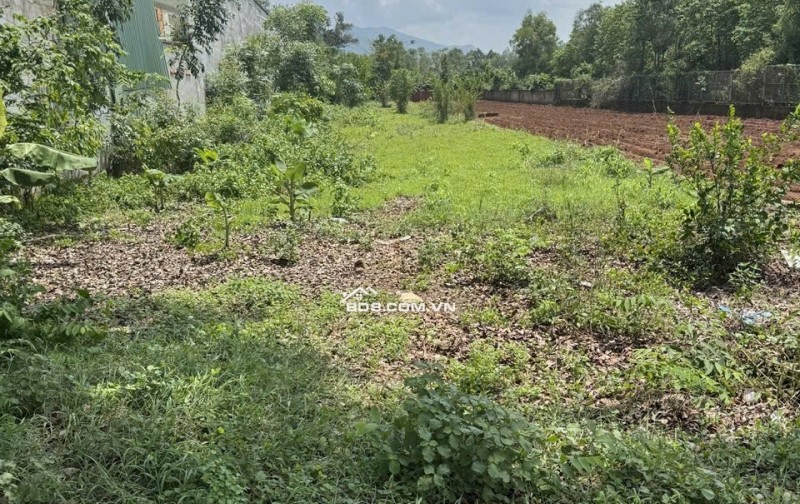 BÁN 2716M ĐẤT MẶT TIỀN QUỐC LỘ 56 XÃ HÒA LONG BRVT GIÁ 28 TỶ. LH:0937652763.