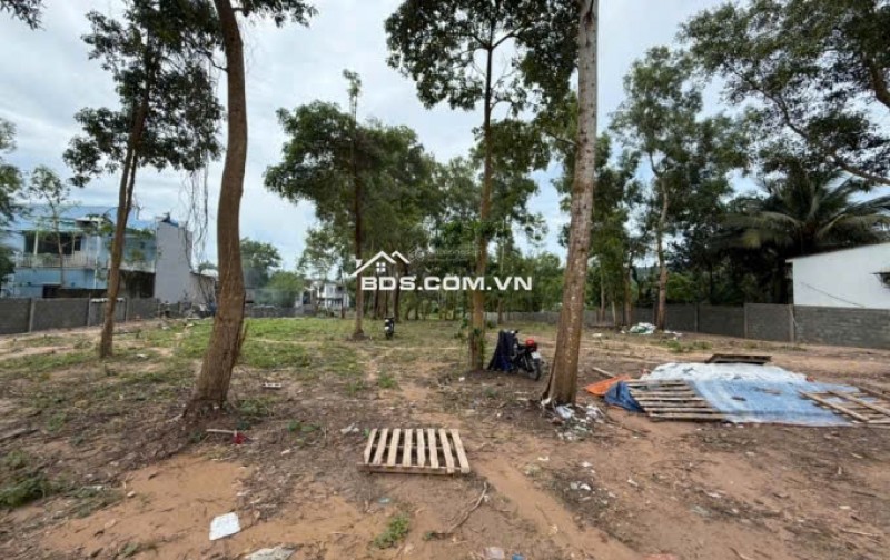 CHO THUÊ ĐẤT MẶT TIỀN PHƯỜNG DƯƠNG ĐÔNG PHÚ QUỐC