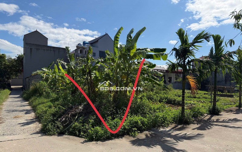 Bán Đất Thổ Cư Xã Đức Giang và Xã Tư Mại Cạnh Khu Công Nghiệp