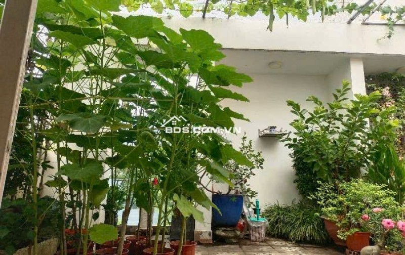 Cần bán căn 54m2 hẻm xe tải ngay khu Trường Thọ, TP Thủ Đức