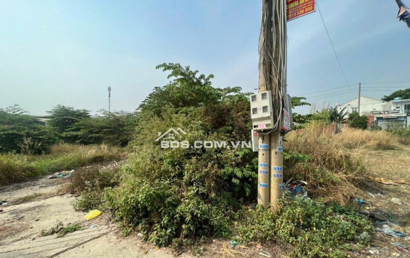 Bán đất 1 sẹt đường QL 51-Tại Long Hưng - Đồng Nai. 0909808615