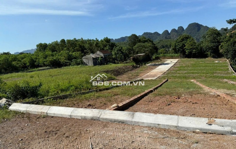  CHỐT DEAL CUỐI CÙNG – 490 TRIỆU SỞ HỮU NGAY LÔ ĐẸP MẶT TRỤC TÂY BẮC!