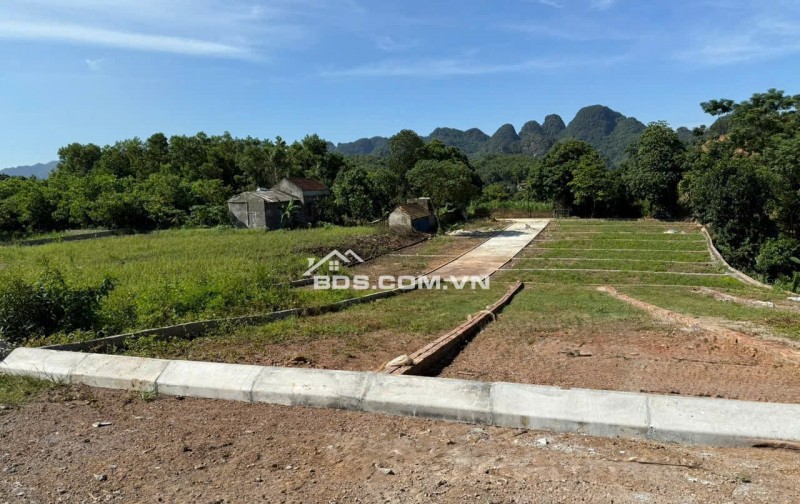  CHỐT DEAL CUỐI CÙNG – 490 TRIỆU SỞ HỮU NGAY LÔ ĐẸP MẶT TRỤC TÂY BẮC!