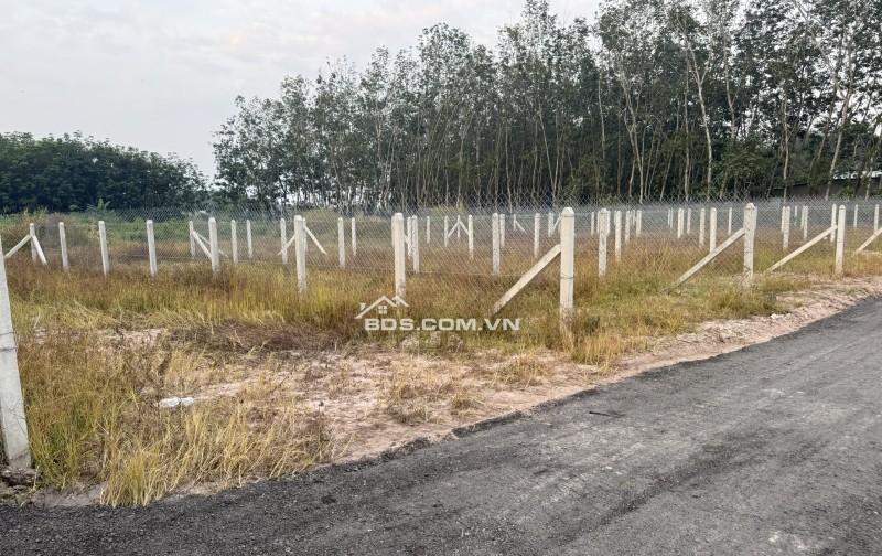 449tr sở hữu Lô Đất Đầu tư Siêu ngon tại Hiệp Thạnh