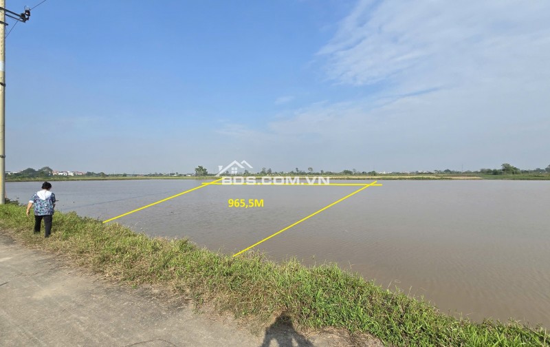 Bán đất nông nghiệp tại vị trí quy hoạch Khu công nghiệp Phụng Hiệp, Thường Tín, Hà Nội