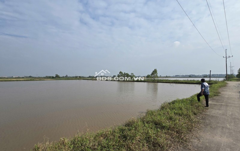 Bán đất nông nghiệp tại vị trí quy hoạch Khu công nghiệp Phụng Hiệp, Thường Tín, Hà Nội