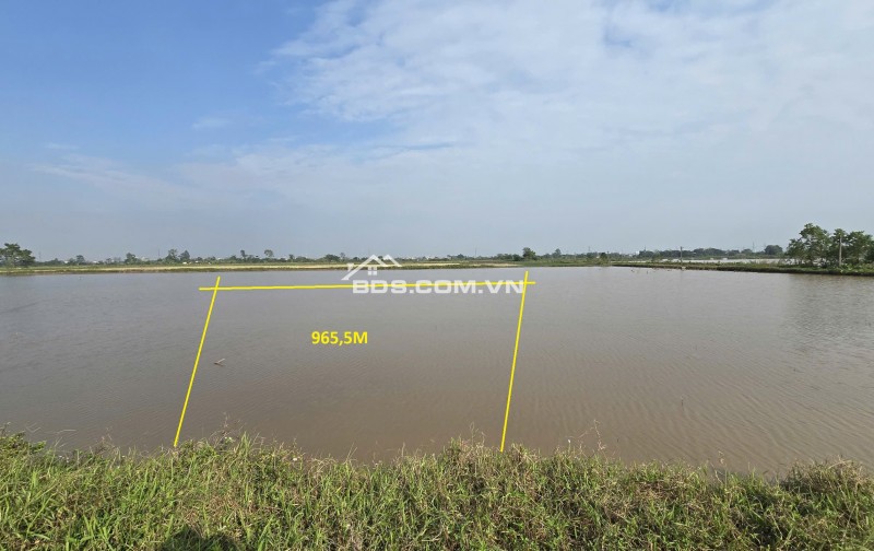 Bán đất nông nghiệp tại vị trí quy hoạch Khu công nghiệp Phụng Hiệp, Thường Tín, Hà Nội