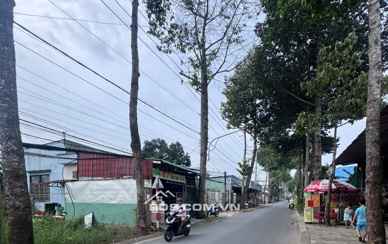 ĐẤT MẶT TIỀN ĐƯỜNG TRẦN VĂN HIỂN PHƯỜNG 10 GẦN SÁT QL60