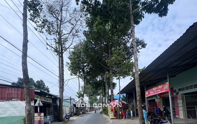 ĐẤT MẶT TIỀN ĐƯỜNG TRẦN VĂN HIỂN PHƯỜNG 10 GẦN SÁT QL60