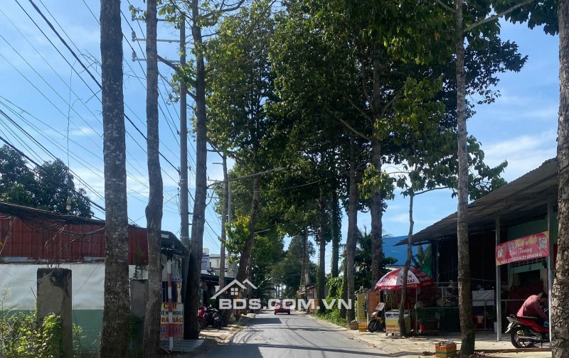 ĐẤT MẶT TIỀN ĐƯỜNG TRẦN VĂN HIỂN PHƯỜNG 10 GẦN SÁT QL60