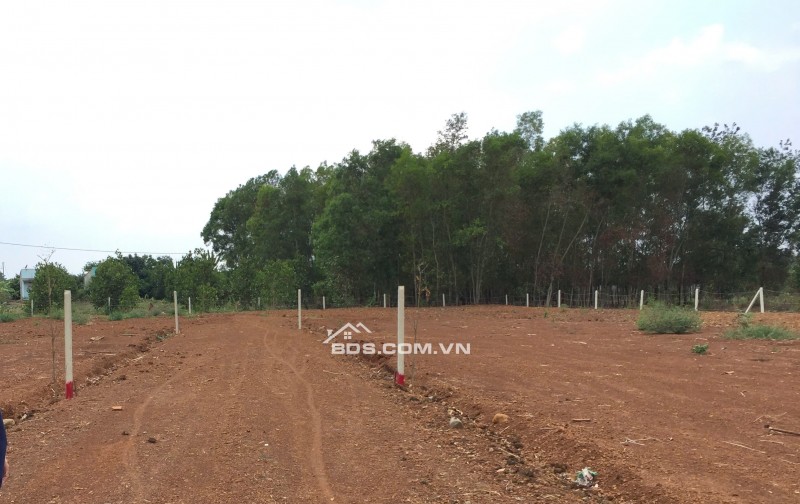 Bán 3 sào đất vuông vức sổ riêng - 500m UBND Sông Thao - Đồng Nai