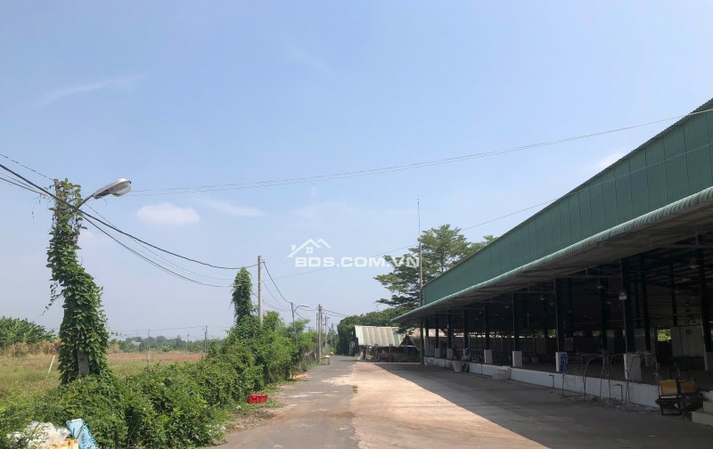 Bán 3 sào đất vuông vức sổ riêng - 500m UBND Sông Thao - Đồng Nai