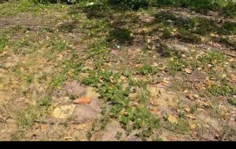 BÁN GẤP LÔ ĐẤT THỔ CƯ 140m² – GẦN QL1A, GIÁ CHỈ 15TR/m²