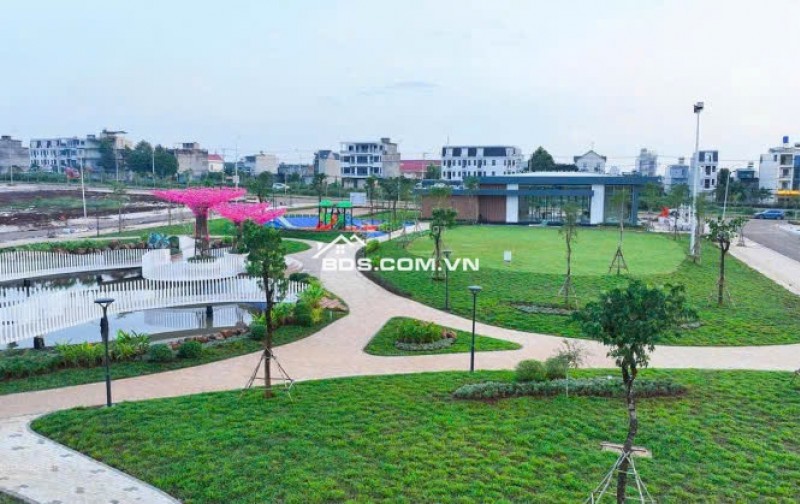 Tuyệt phẩm hiếm tại Dầu Giây – Sản phẩm giới hạn, giá trị bền vững