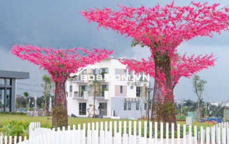 Tuyệt phẩm hiếm tại Dầu Giây – Sản phẩm giới hạn, giá trị bền vững