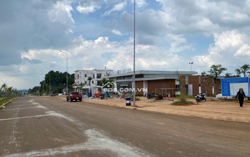 Tuyệt phẩm hiếm tại Dầu Giây – Sản phẩm giới hạn, giá trị bền vững