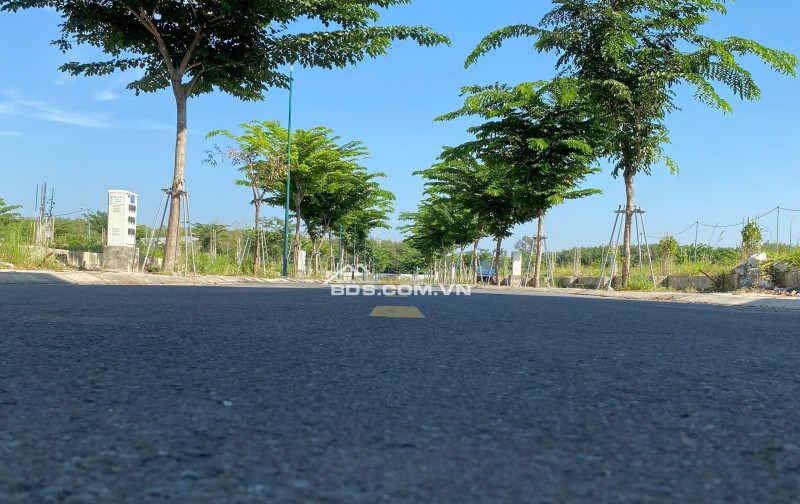 Tuyệt phẩm hiếm tại Dầu Giây – Sản phẩm giới hạn, giá trị bền vững